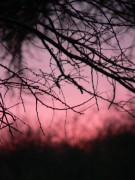 1008_58 * 960 x 1280 * (166KB)