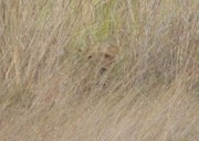 1013_047 * 282 x 201 * (16KB)
