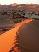 1030_025 * 960 x 1280 * (317KB)