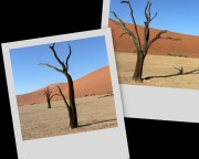 1030_079_and_081-collage * 1280 x 1024 * (174KB)