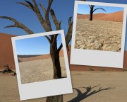 1030_087-089-collage * 1280 x 1024 * (270KB)