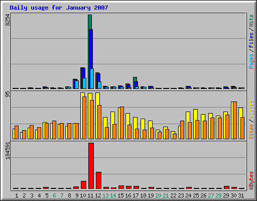 Daily usage for January 2007